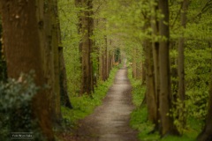 01-Coendersbos-04-05-21