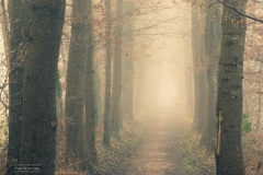 01-Coendersbos-28-02-21