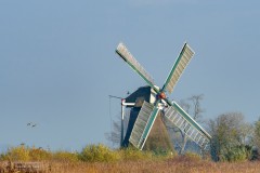 01-Noordijkermolen111221-1-1837-x-1224
