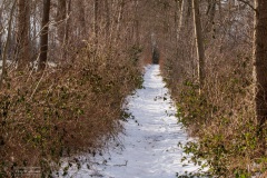 03-Coendersbos-14-02-21