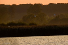 04-Leekstermeer-24-08-21
