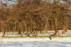 05-Coendersbos-14-02-21