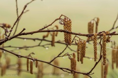 05-Coendersbos-28-02-21
