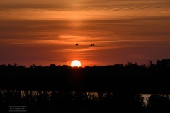 05-Leekstermeer-24-08-21