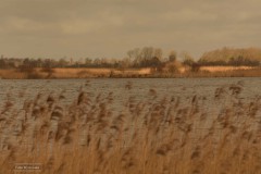 06-Leekstermeer-14-03-21