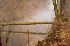 07-Coendersbos-28-02-21