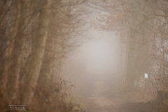 10-Coendersbos-28-02-21