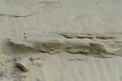 25-Terschelling-07-2020