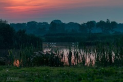 29-Leekstermeer-Lepellaars