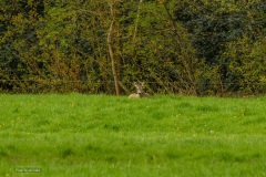 02-Coendersbos-05-05-21