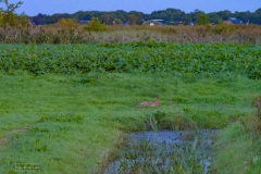 02-Leekstermeer-