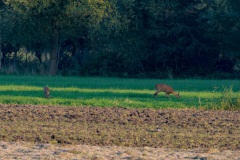02-Leekstermeer-05-09-21