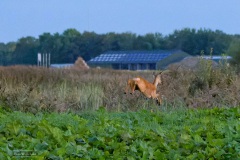 04-Leekstermeer-