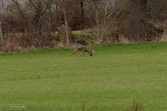 09-Leekstermeer-14-03-21